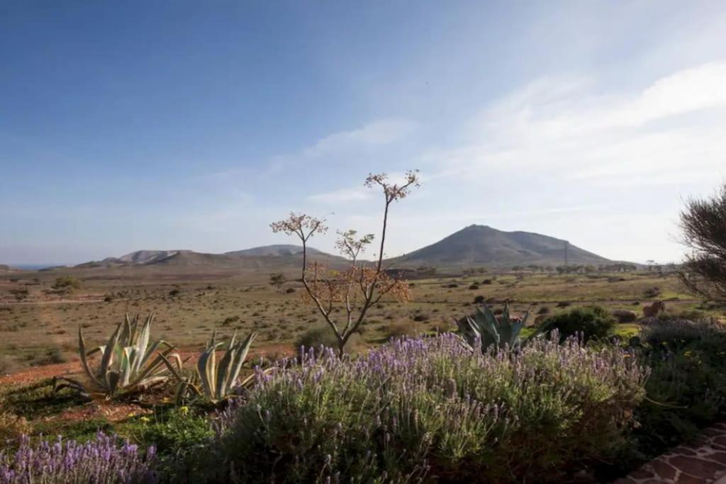 Villa El Risco Colorado, Cabo De Gata Rodalquilar Exterior foto